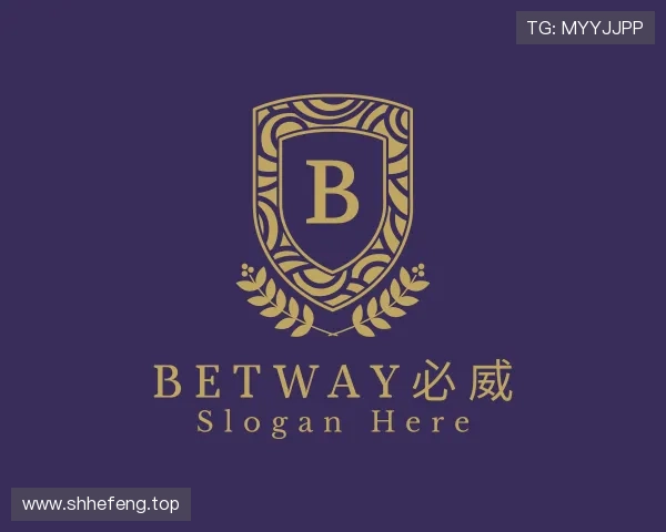 了解betway西汉姆联官网